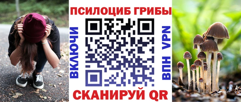 Псилоцибиновые грибы GOLDEN TEACHER  Ковылкино 